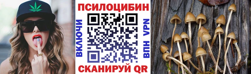 Псилоцибиновые грибы MAGIC MUSHROOMS  Комсомольск 